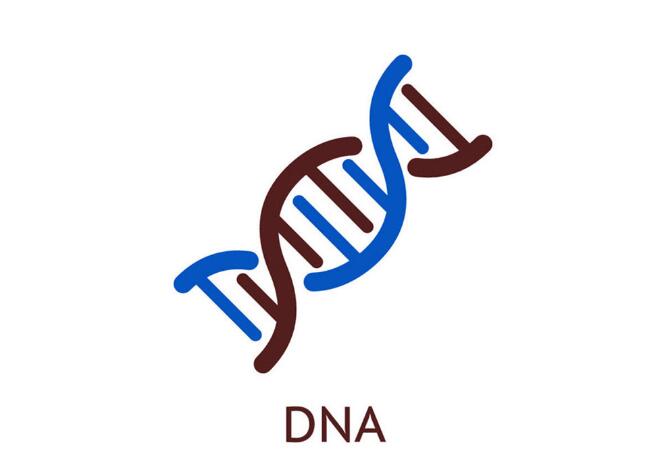 DNA鉴定亲子价格